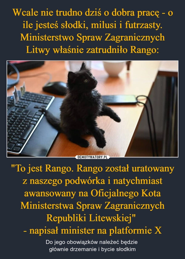 
    Wcale nie trudno dziś o dobra pracę - o ile jesteś słodki, milusi i futrzasty. Ministerstwo Spraw Zagranicznych Litwy właśnie zatrudniło Rango: "To jest Rango. Rango został uratowany z naszego podwórka i natychmiast awansowany na Oficjalnego Kota Ministerstwa Spraw Zagranicznych Republiki Litewskiej" 
- napisał minister na platformie X