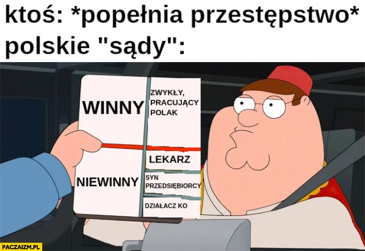 
    Ktoś popełnia przestępstwo, polskie sądy oceniają winny czy niewinny: lekarz, syn przedsiębiorcy, działacz KO