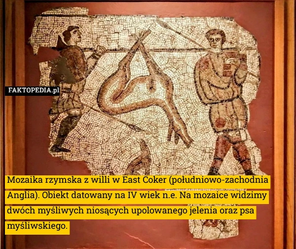 
    Mozaika rzymska z willi w East Coker (południowo-zachodnia Anglia).