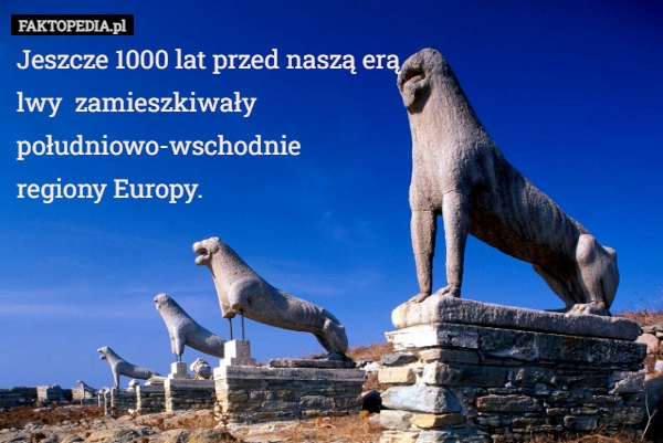 
    Jeszcze 1000 lat przed naszą erą
lwy  zamieszkiwały
południowo-wschodnie