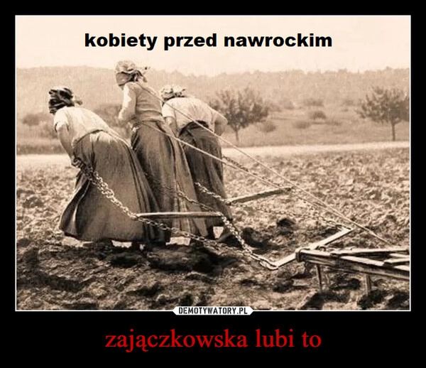
    zajączkowska lubi to