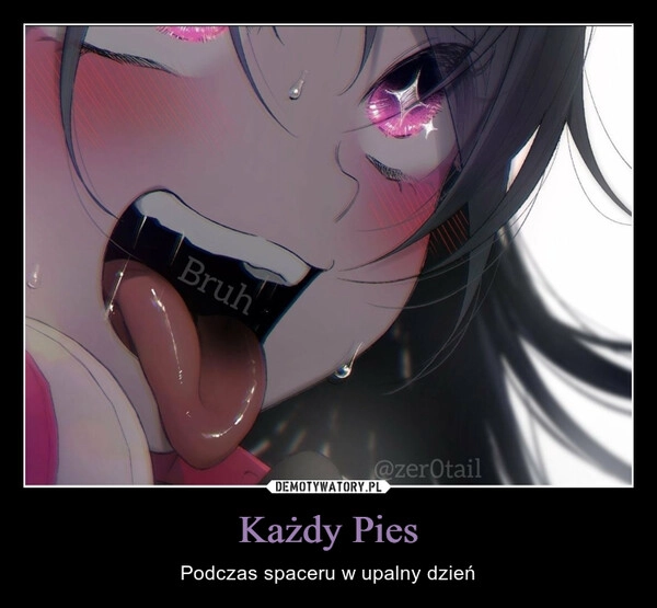 
    Każdy Pies