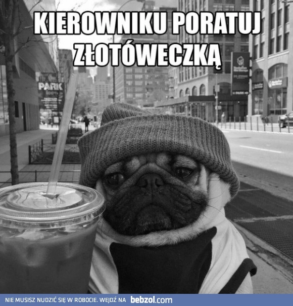 
    Kierowniku