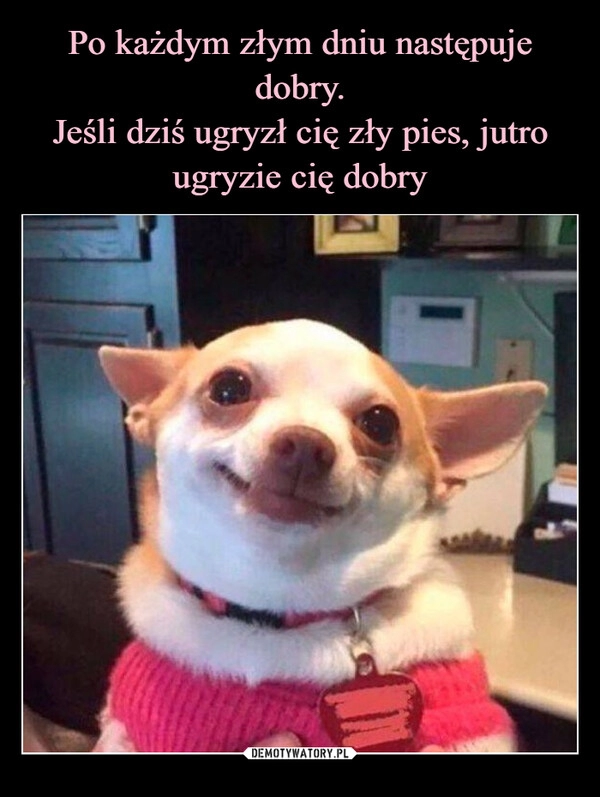 
    Po każdym złym dniu następuje dobry.
Jeśli dziś ugryzł cię zły pies, jutro ugryzie cię dobry