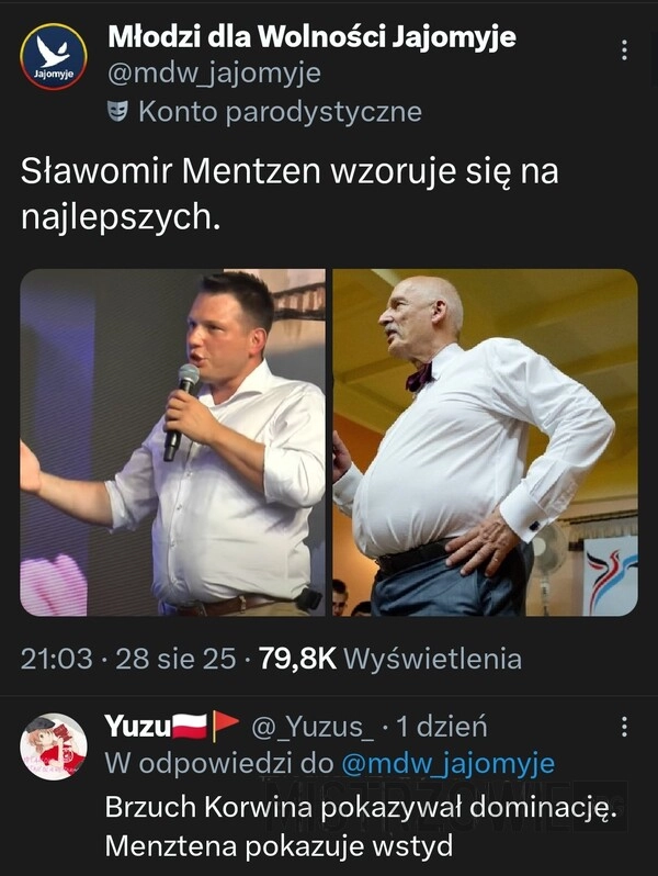 
    Wzór