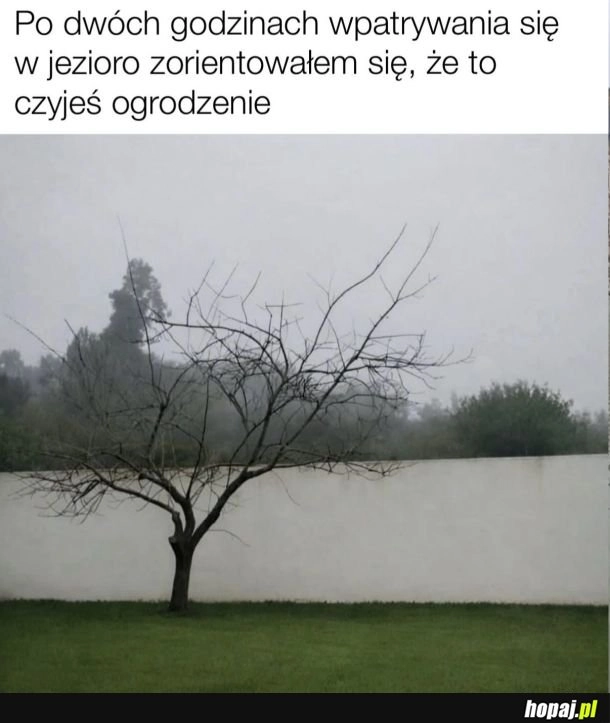 
    Po jakim czasie zauważyłeś?