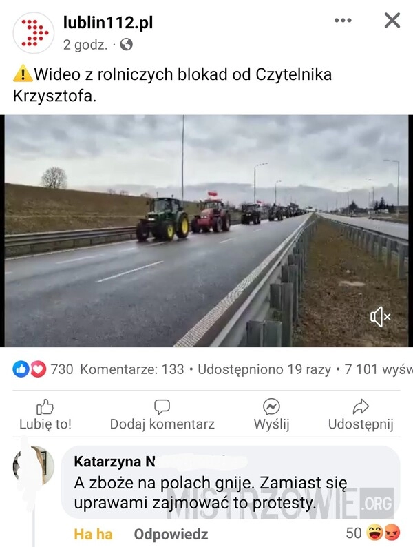 
    W tym przypadku kolor włosów to nie przypadek 