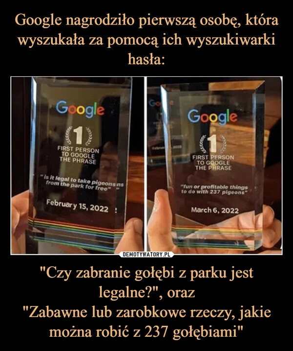 
    Google nagrodziło pierwszą osobę, która wyszukała za pomocą ich wyszukiwarki hasła: "Czy zabranie gołębi z parku jest legalne?", oraz
"Zabawne lub zarobkowe rzeczy, jakie można robić z 237 gołębiami"