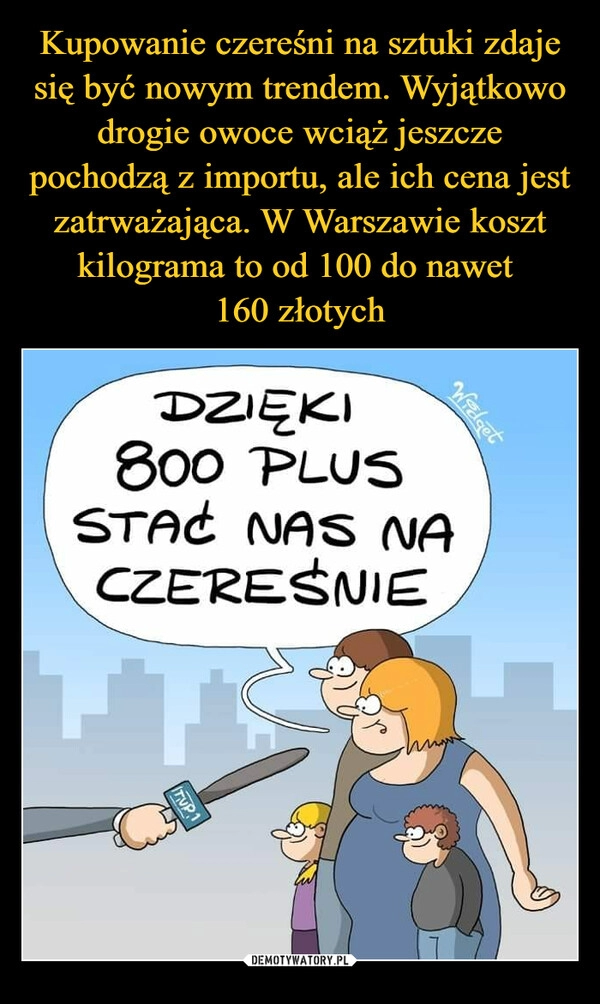 
    Kupowanie czereśni na sztuki zdaje się być nowym trendem. Wyjątkowo drogie owoce wciąż jeszcze pochodzą z importu, ale ich cena jest zatrważająca. W Warszawie koszt kilograma to od 100 do nawet 
160 złotych