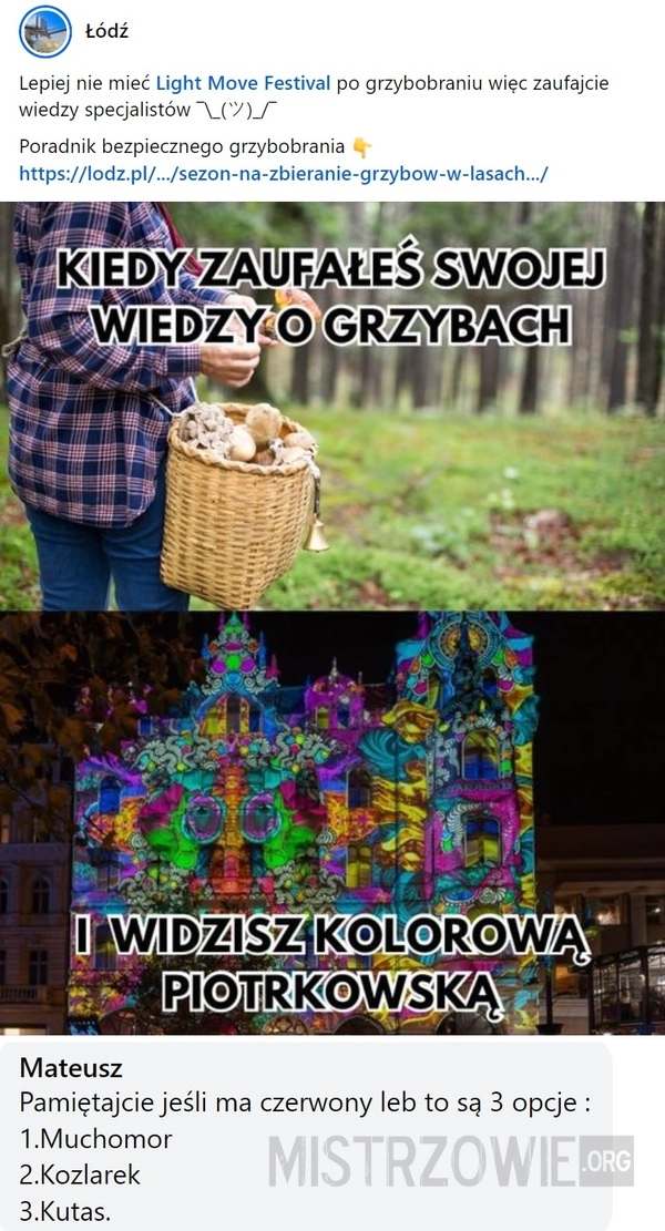 
    Wiedza