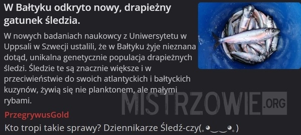 
    Nowy gatunek