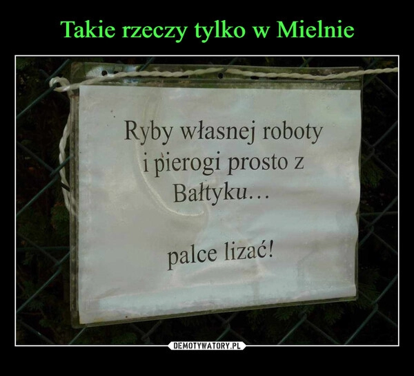 
    Takie rzeczy tylko w Mielnie