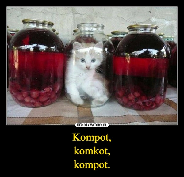 
    Kompot,
komkot,
kompot.