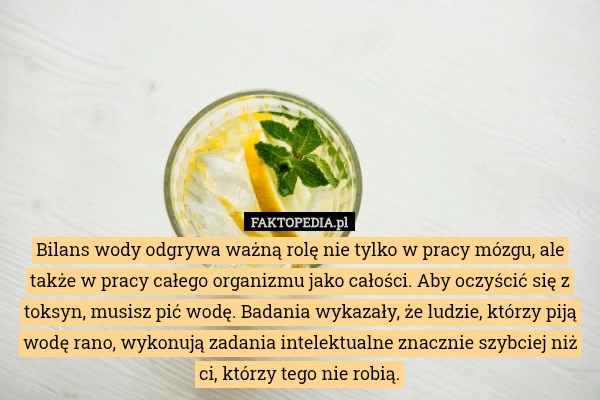 
    Bilans wody odgrywa ważną rolę nie tylko w pracy mózgu, ale także w pracy