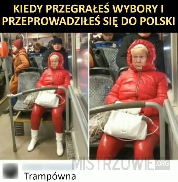 
    Wybory