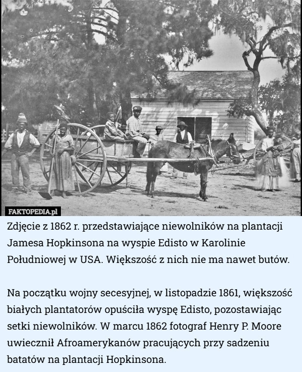 
    Zdjęcie z 1862 r. przedstawiające niewolników na plantacji Jamesa Hopkinsona...