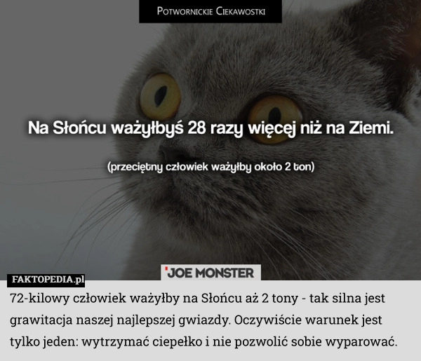 
    72-kilowy człowiek ważyłby na Słońcu aż 2 tony - tak silna jest grawitacja