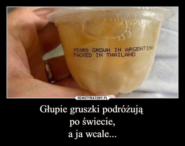 
    Głupie gruszki podróżują 
po świecie,
a ja wcale...