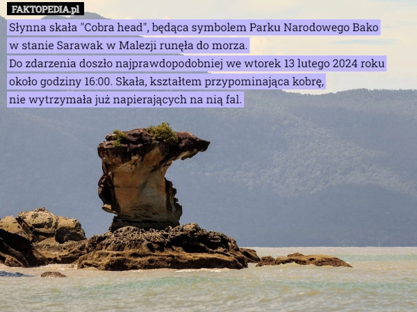 
    Słynna skała "Cobra head", będąca symbolem Parku Narodowego Bako