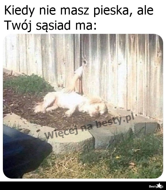 
    I wszyscy zadowoleni 