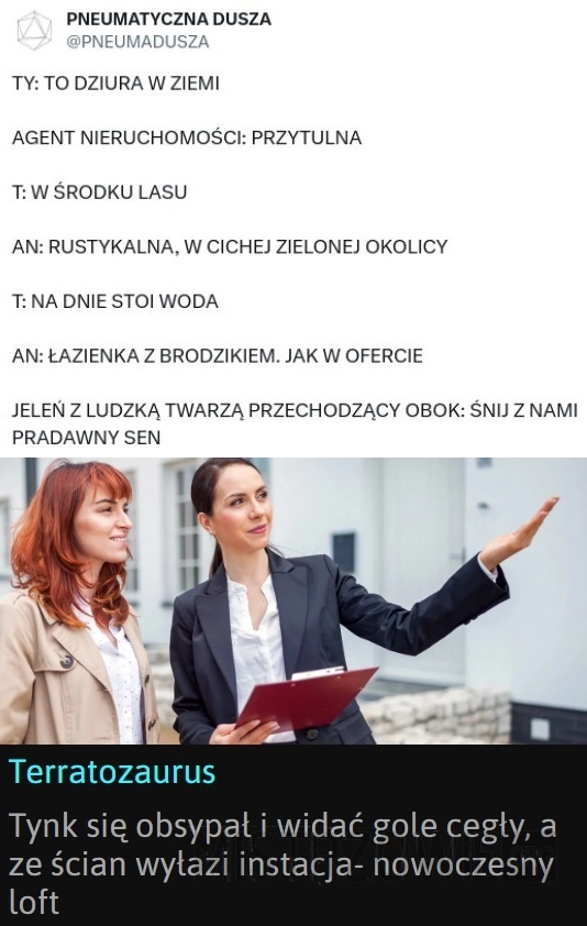 
    Agent nieruchomości