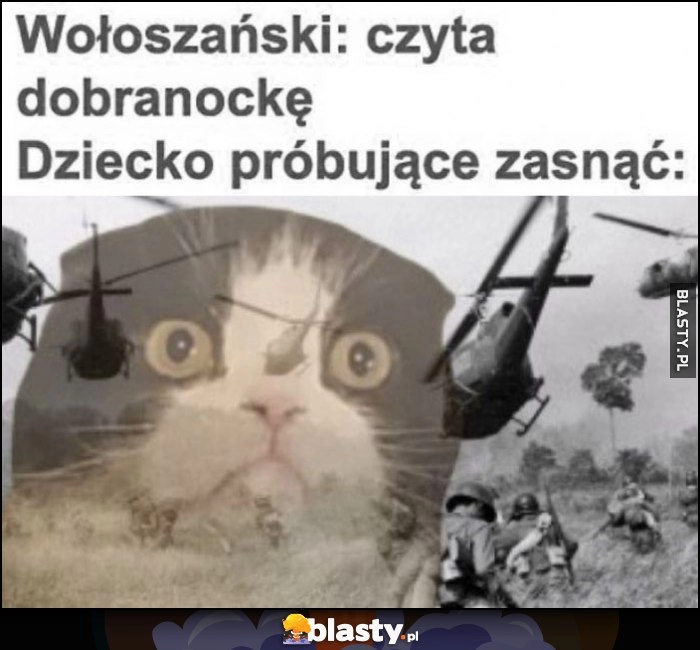 
    Wołoszczański: czyta dobranockę. Dziecko próbujące zasnąć kot flashbacki z wojny