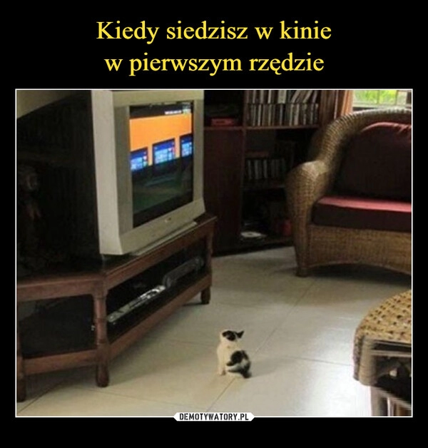 
    Kiedy siedzisz w kinie
w pierwszym rzędzie