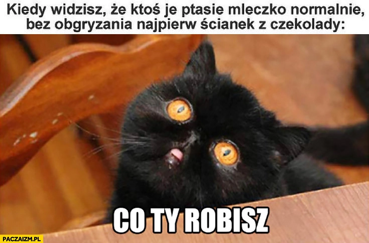 
    Kiedy widzisz, że ktoś je ptasie mleczko bez obgryzania najpierw ścianek z czekolady. Co ty robisz? kot
