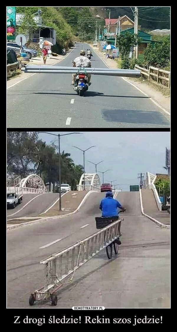 
    Z drogi śledzie! Rekin szos jedzie!