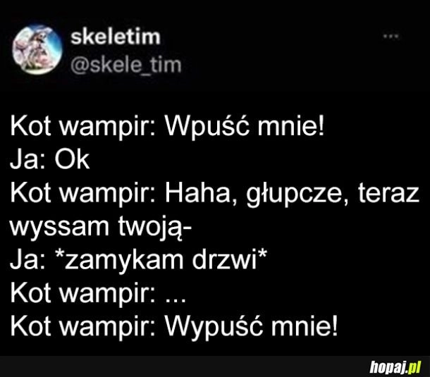 Kot wampir