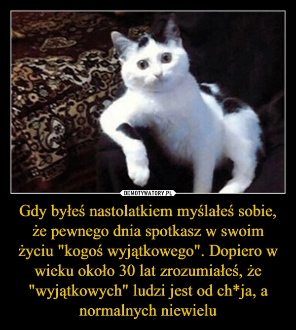 
    Gdy byłeś nastolatkiem myślałeś sobie, że pewnego dnia spotkasz w swoim życiu "kogoś wyjątkowego". Dopiero w wieku około 30 lat zrozumiałeś, że "wyjątkowych" ludzi jest od ch*ja, a normalnych niewielu