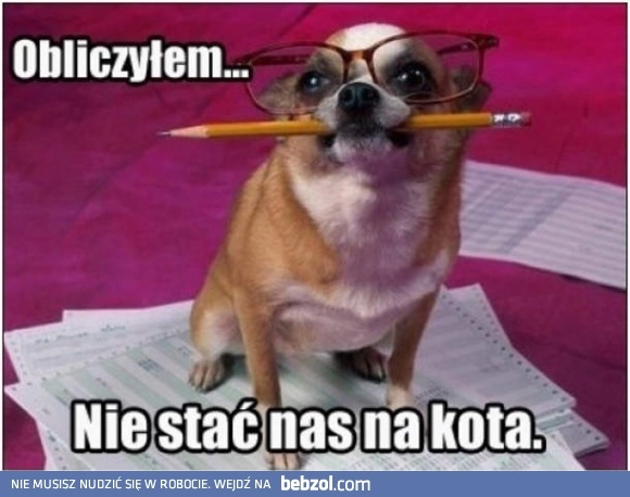 
    Obliczyłem