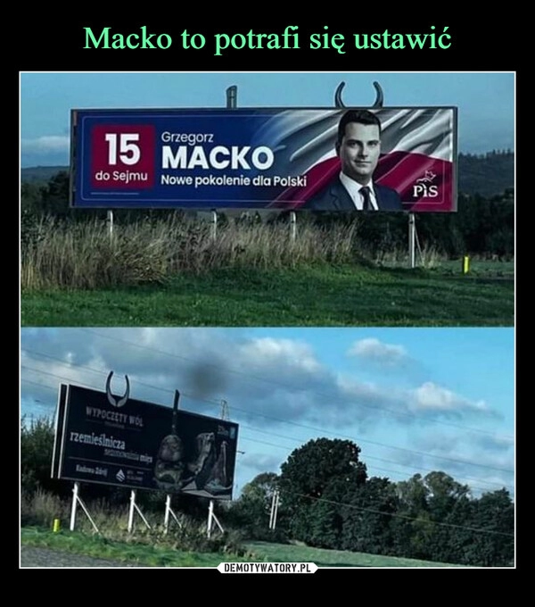 
    Macko to potrafi się ustawić