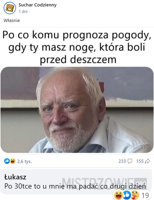 
    Prognoza