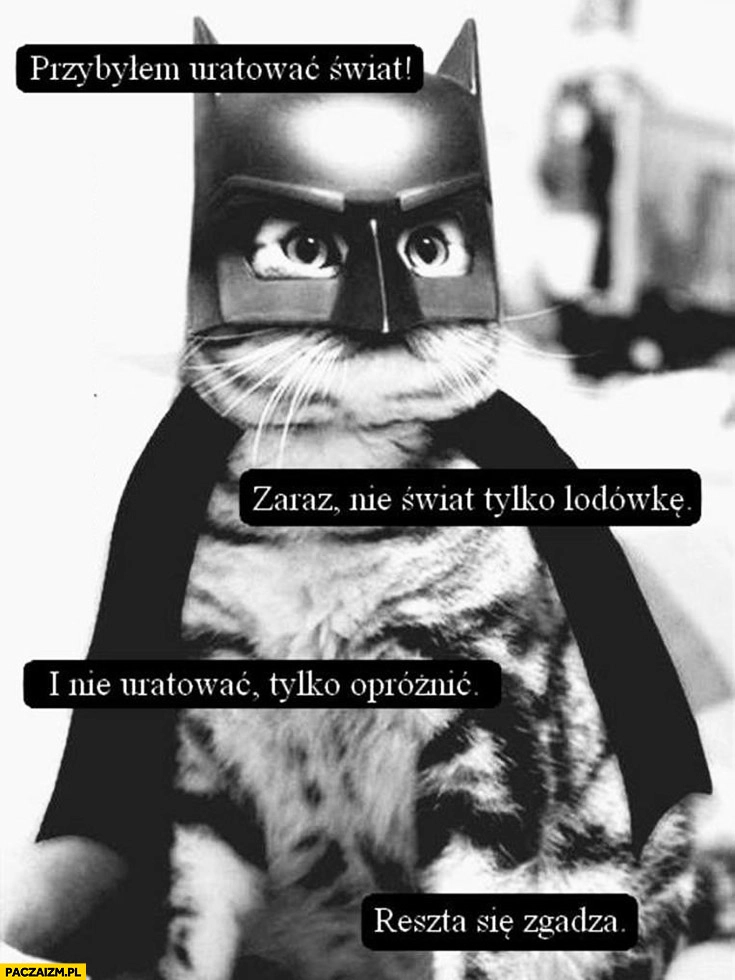 
    Przybyłem uratować świat, nie świat tylko lodówkę i nie uratować tylko opróżnić. Reszta się zgadza. kot