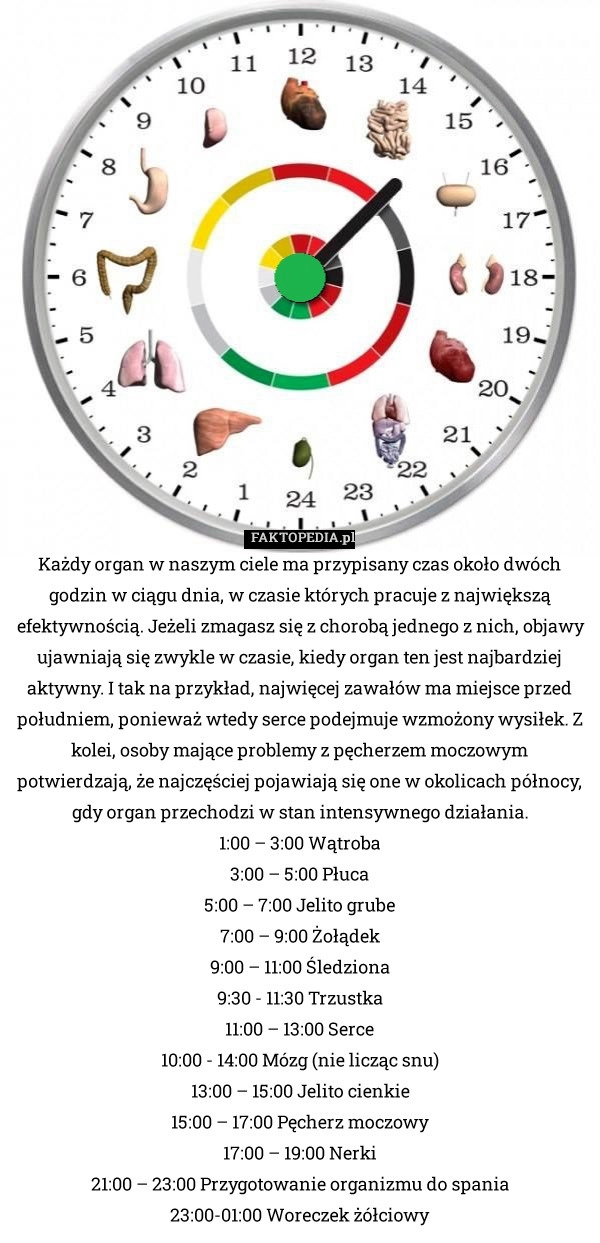 
    Każdy organ w naszym ciele ma przypisany czas około dwóch godzin w ciągu