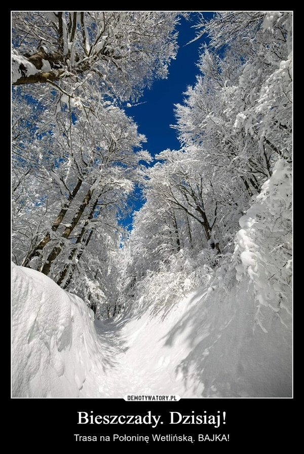 
    Bieszczady. Dzisiaj!