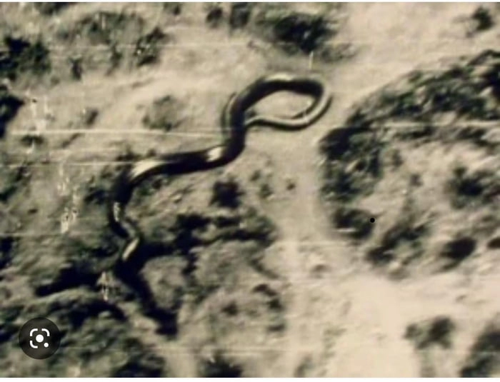 
    Just learned about the pilots from WWII that circled around 3x while flying over the Congo to take a picture of what is estimated to be a 50ft snake of an unknown species.