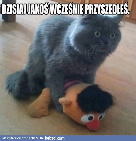 Upsss