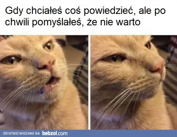 
    Już nieważne 