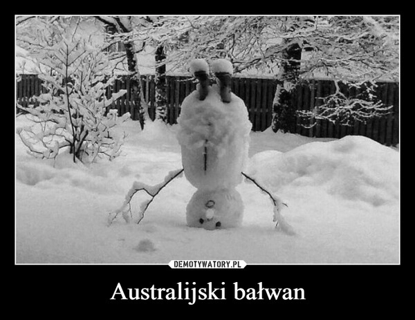 
    Australijski bałwan