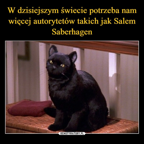 
    W dzisiejszym świecie potrzeba nam więcej autorytetów takich jak Salem Saberhagen