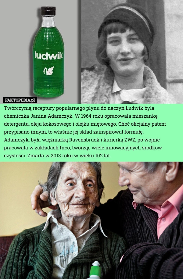 
    Twórczynią receptury popularnego płynu do naczyń Ludwik była chemiczka Janina