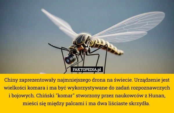 
    Chiny zaprezentowały najmniejszego drona na świecie. Urządzenie jest wielkości