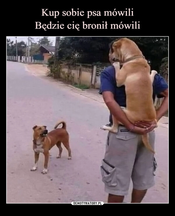 
    Kup sobie psa mówili
Będzie cię bronił mówili