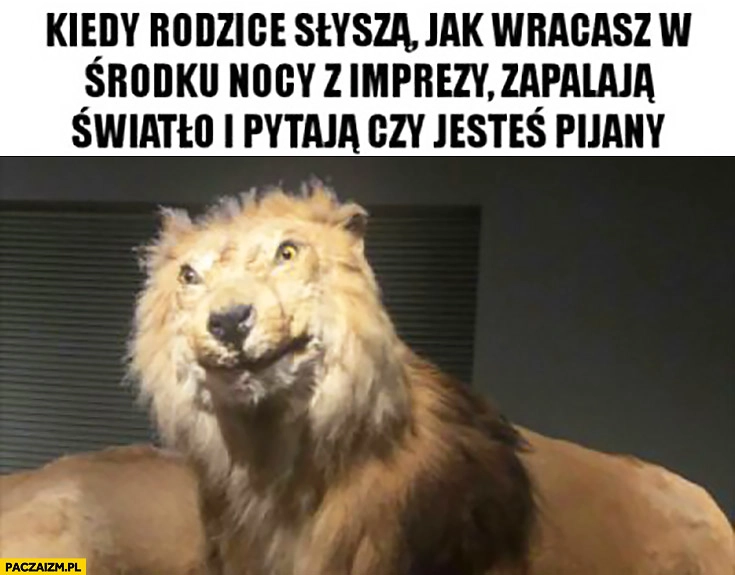 
    Kiedy rodzice słyszą jak wracasz w środku nocy z imprezy zapalają światło i pytają czy jesteś pijany