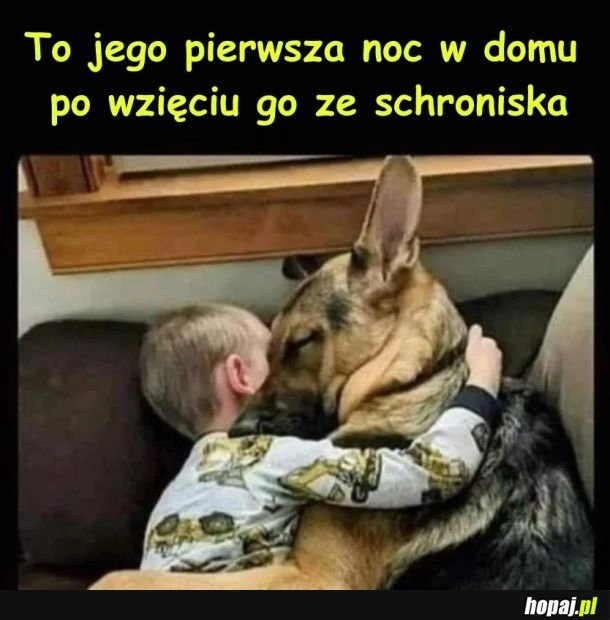 
    Dom na zawsze