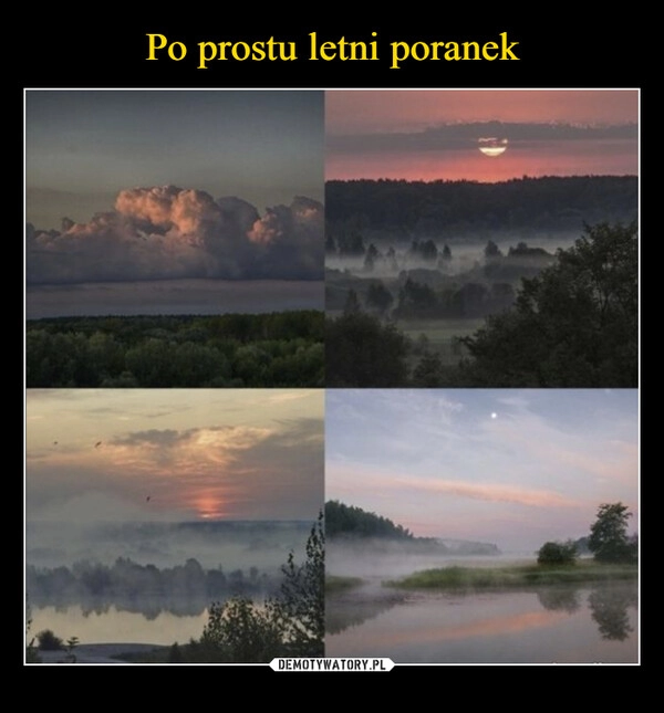 
    Po prostu letni poranek