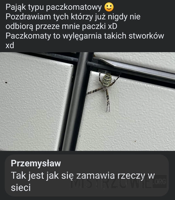 
    Pająk paczkomatowy