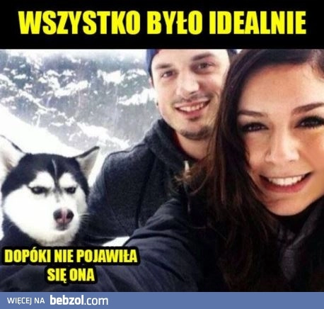 
    Laski wszystko psują
